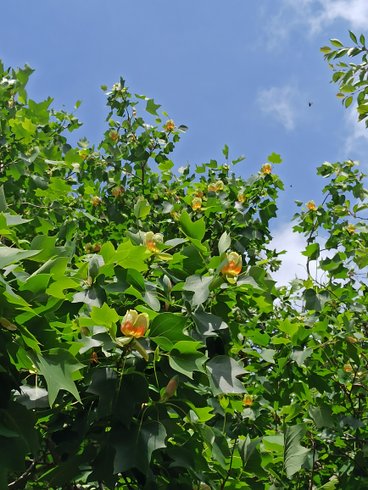 Domaine AbracadaRoom : Le Cottage des Falaises - Image 14