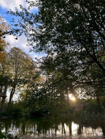 Domaine AbracadaRoom : Le domaine de Wail - Image 7
