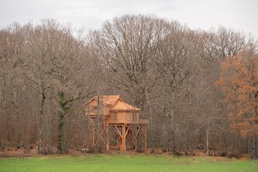 La Cabane aux Oiseaux & Spa à La Bussiere (2)