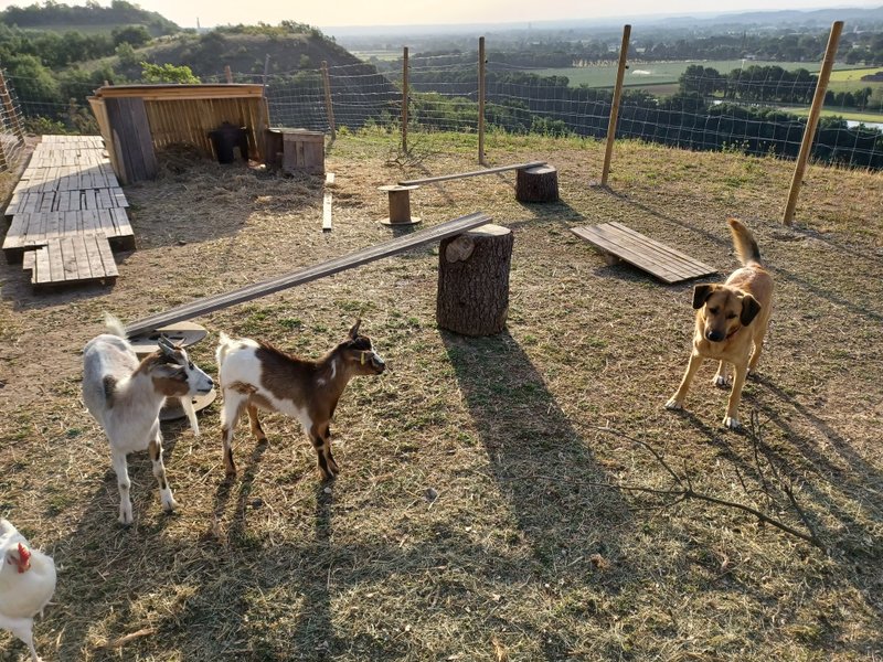 Hébergement AbracadaRoom : Cabane estelas - Image 27