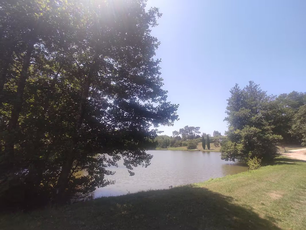 Dôme géodésique 8 personnes et son lac privé à Sadirac (21)