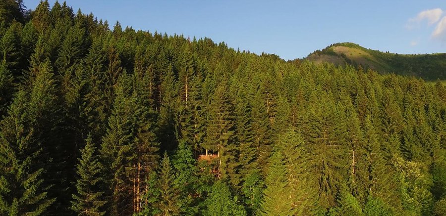 Hébergement AbracadaRoom : Cabane Nid - Image 12