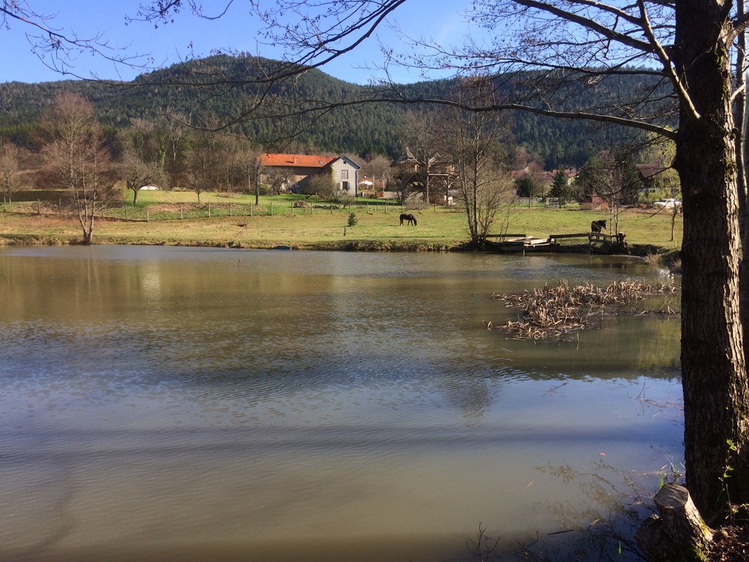 Kota chambre des Cambuses & Bain nordique à Saint Dié Des Vosges (28)