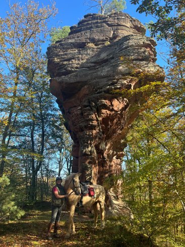 Hébergement AbracadaRoom : Le petit sabotier "Vue Forêt" - Image 18