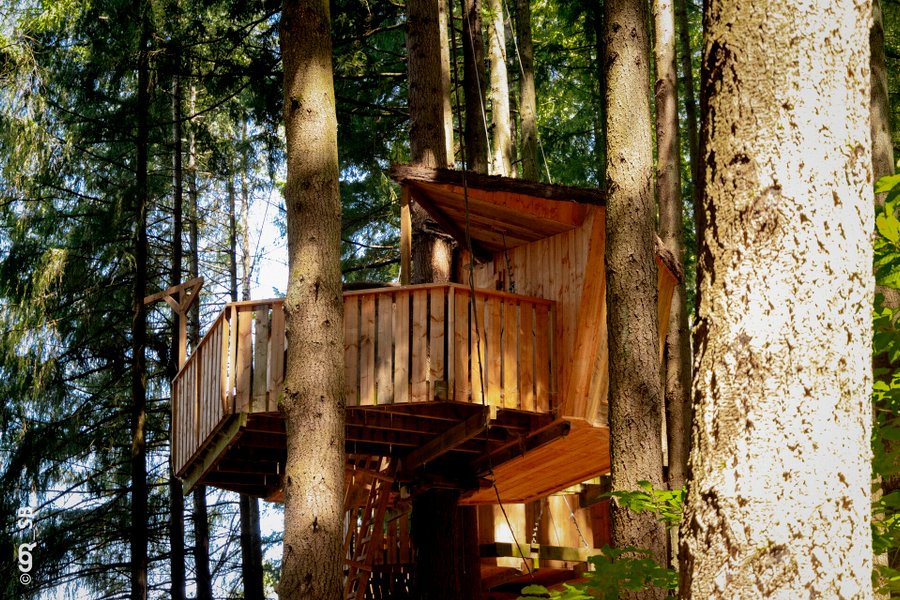 Hébergement AbracadaRoom : Cabane PERDRIX - Séance sauna offerte - Image 2