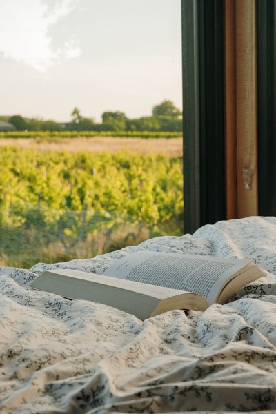 Hébergement AbracadaRoom : Tiny House La Vendange proche de Saint Emilion - Image 3