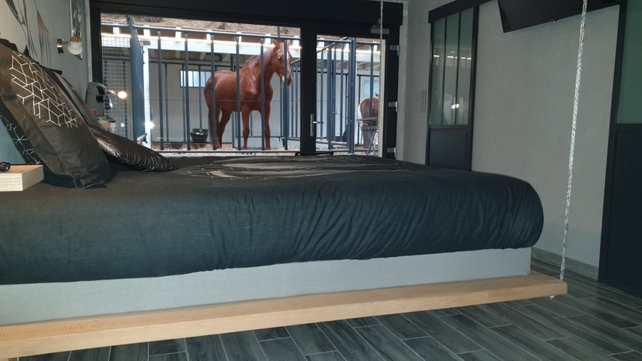 Hébergement AbracadaRoom : Lodge 2 - 4 pers. terrasse avec  des chevaux à votre chevet - Image 4