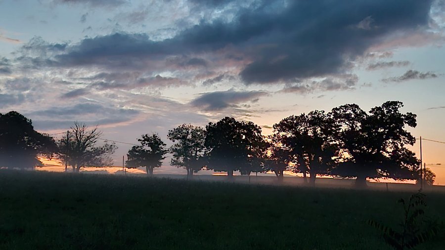 Domaine AbracadaRoom : Spiru'bulle - Image 12