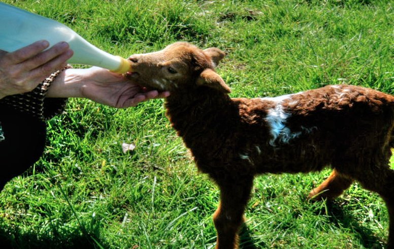 Domaine AbracadaRoom : Château de Villiers - Image 5