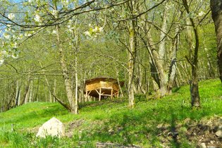 la Cabane l'Appel de la Forêt