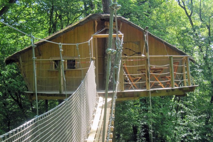 Cabane des Gibbons — photo 2