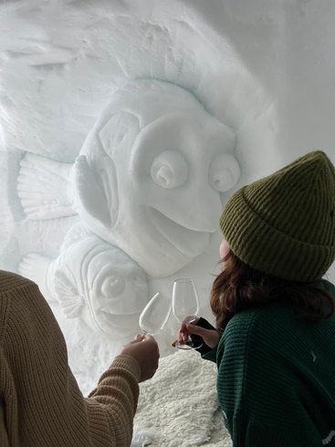 Domaine AbracadaRoom : Village Igloo Val Thorens - Image 10