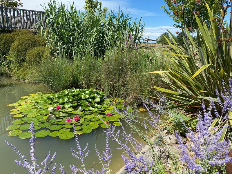 Domaine AbracadaRoom : Domaine de Puybeton - Image 9