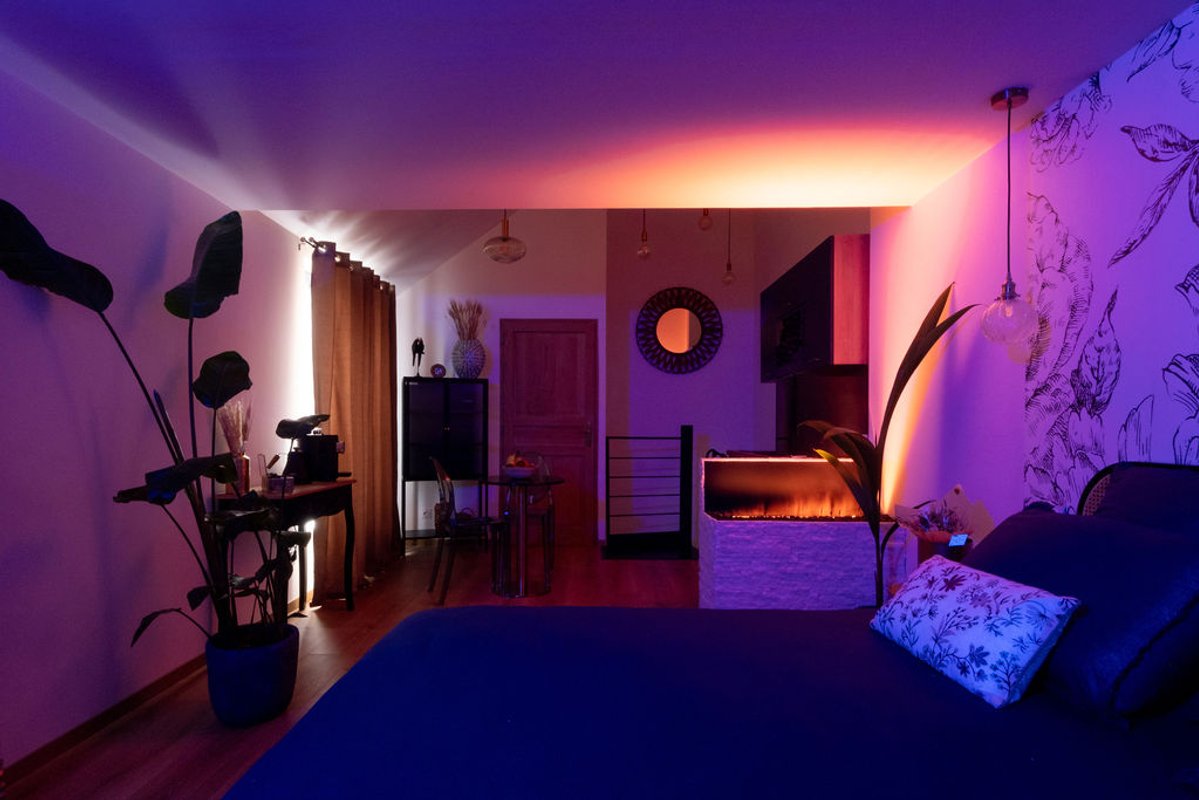 Suite romantique Viens on s'aime à Romorantin-Lanthenay (9)