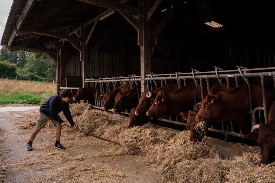 Domaine AbracadaRoom : Un Lit au Pré - L’étable des Mauges en Anjou - Image 19