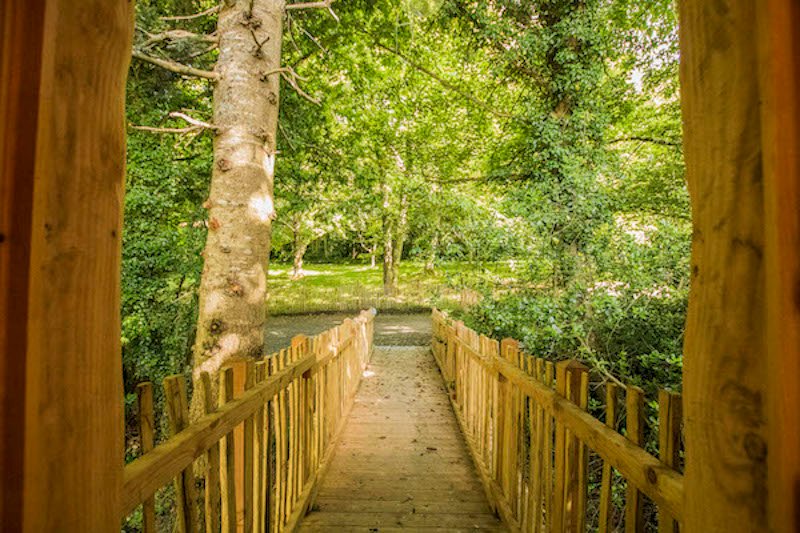 Hébergement AbracadaRoom : Cabane Lewis - Image 7