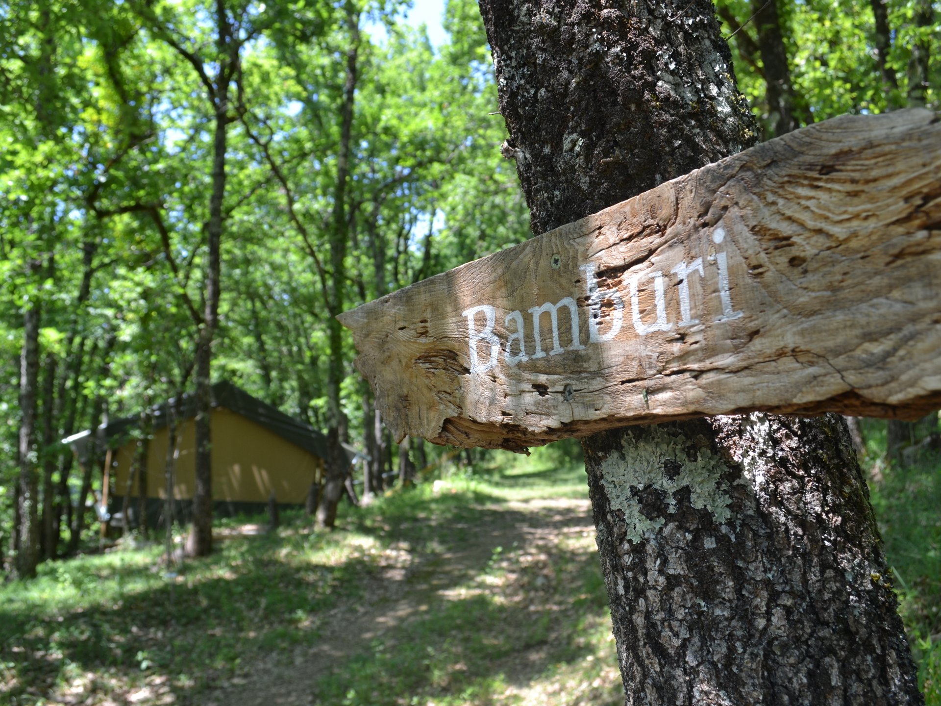 Bamburi, dans les bois