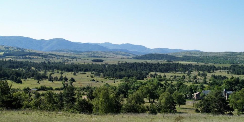 Domaine AbracadaRoom : Domaine de Pradines - Image 2