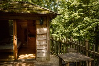 Cabane dans les arbres Oise