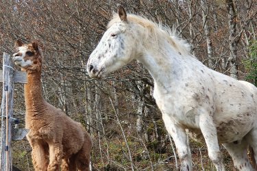 Le Dôme des Bauges & sa vue imprenable à Arith (3)
