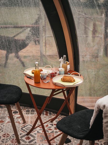 Hébergement AbracadaRoom : Les alpagas du clos - Image 15