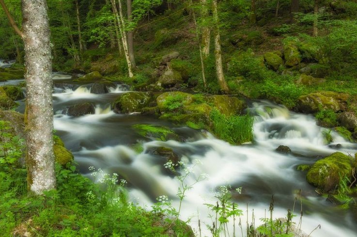 Domaine AbracadaRoom : LA ROCHE AUX FEES - Image 4