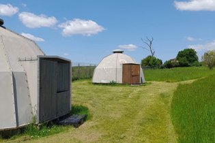 Hutte au milieu des wallabies n°4