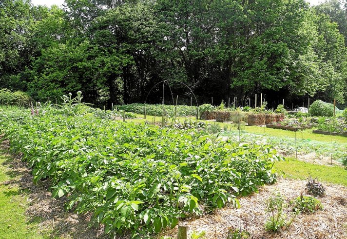 Domaine AbracadaRoom : Les Jardins de Coët-Kra - Image 7