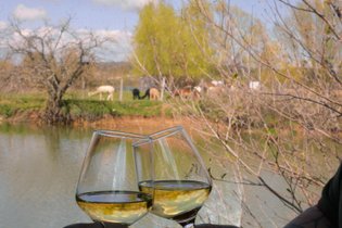 Les Lodges des Grands Crus