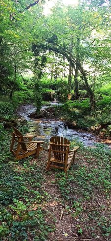 Hébergement AbracadaRoom : Terra Bosca - La roulotte - Image 19