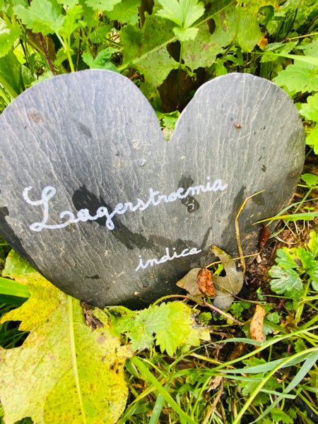 Hébergement AbracadaRoom : La Maison de Merlin, cabane magique avec SPA - Image 13