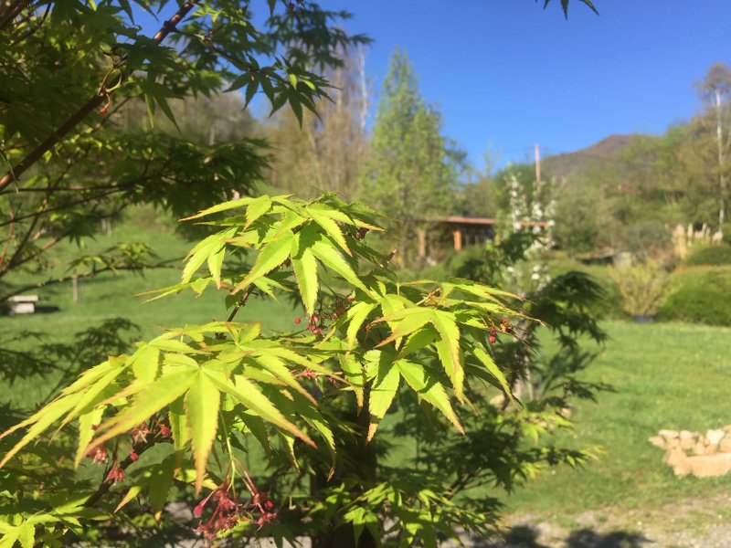 Domaine AbracadaRoom : GITE DE LA BOUCHE - Image 8