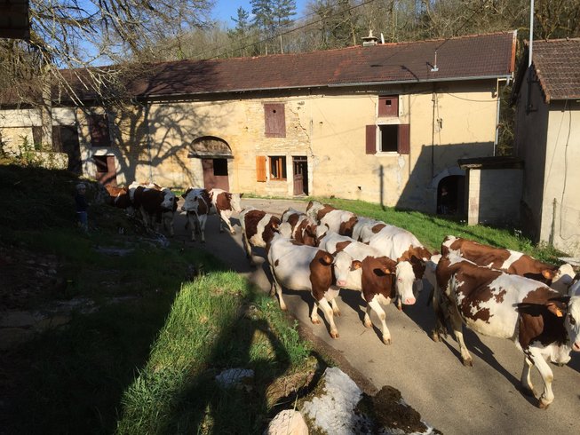 Domaine AbracadaRoom : Moulin Burignat - Image 2