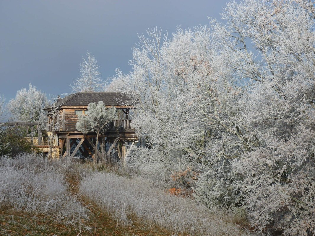 La Cabane-Spa des Figuiers à Salignac-Eyvigues (7)