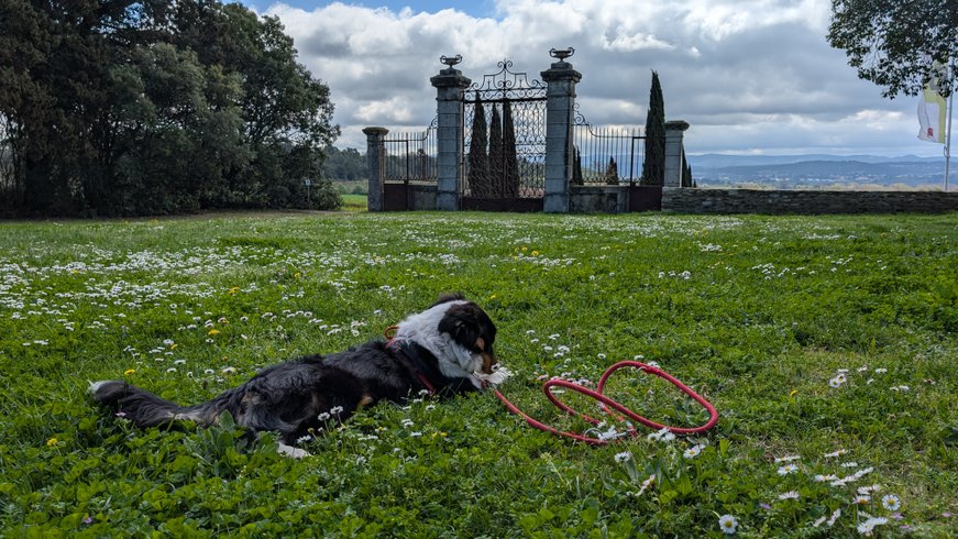Domaine AbracadaRoom : Les Cabanes dans les bois - Image 37
