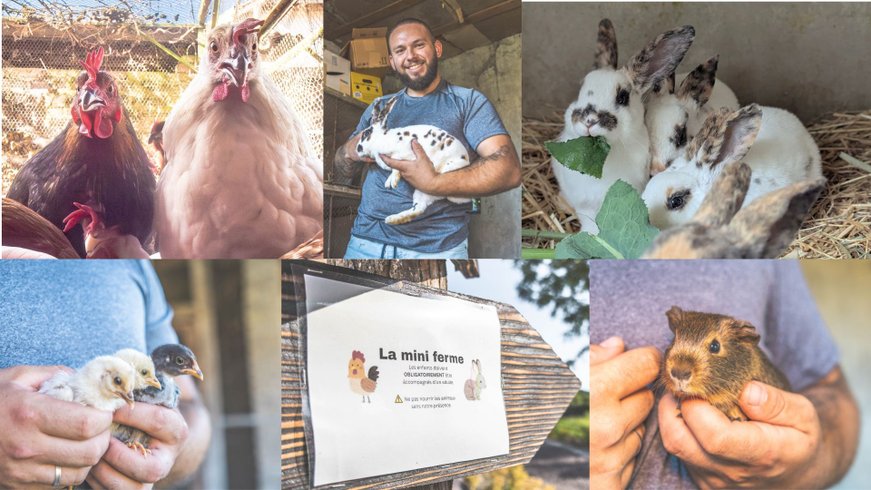 Domaine AbracadaRoom : DOMAINE DES 7 CEPAGES - Image 22