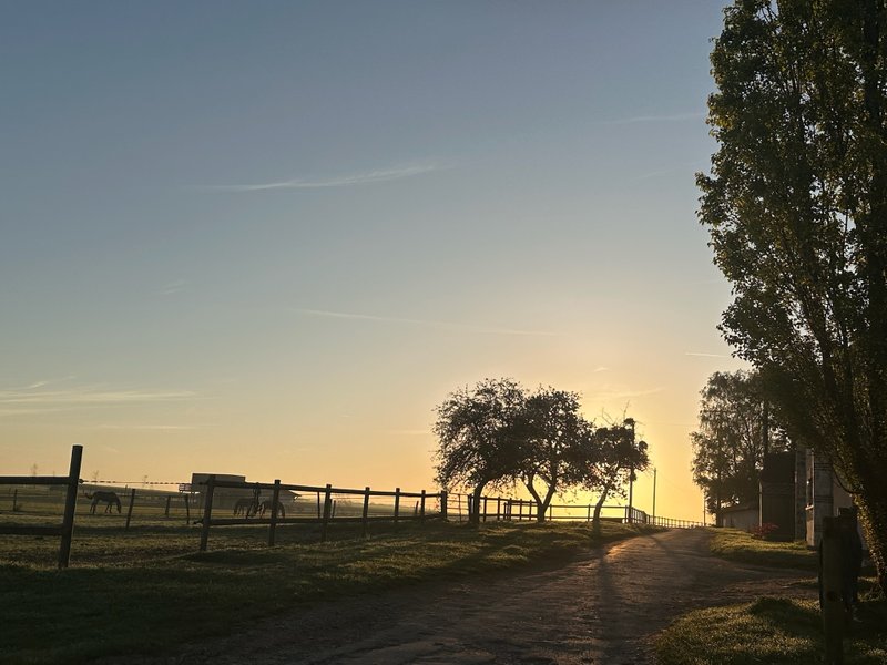 Domaine AbracadaRoom : Ecurie des prés hauts - Image 3