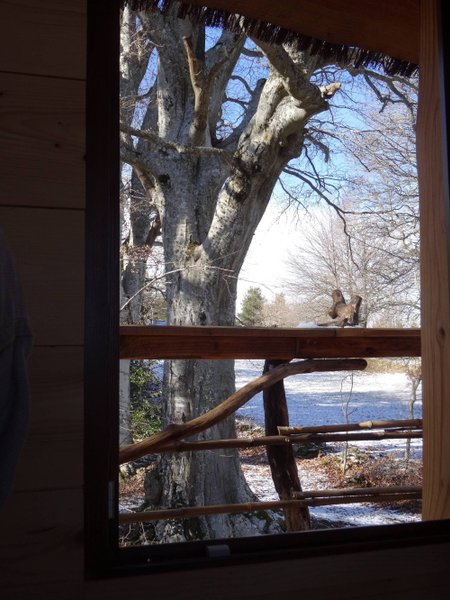 Hébergement AbracadaRoom : La Cabane des Fayards - Image 8