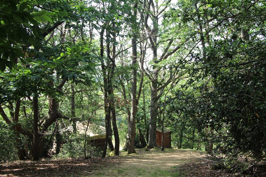 Hébergement AbracadaRoom : La Yourte sur Pilotis - Image 3