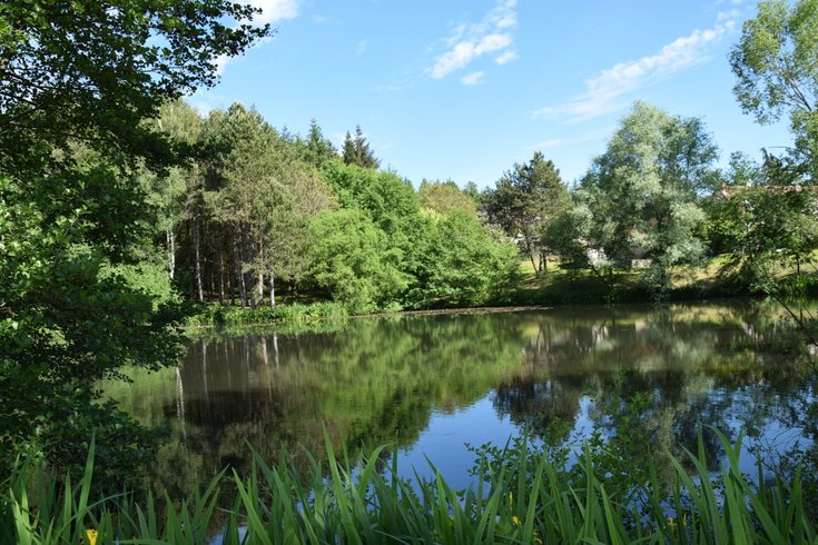 Hébergement AbracadaRoom : Bucolique - Image 12