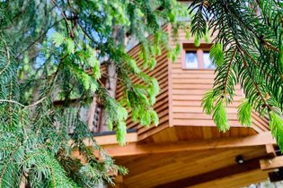 La Cabane dans les arbres de Valmo'Insolite