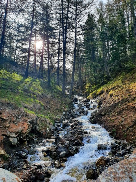 Domaine AbracadaRoom : Alpin d'Hôme - Image 3