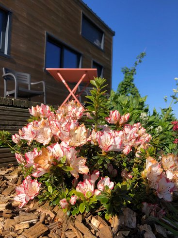 Hébergement AbracadaRoom : Tiny de Ker Ael - Image 11