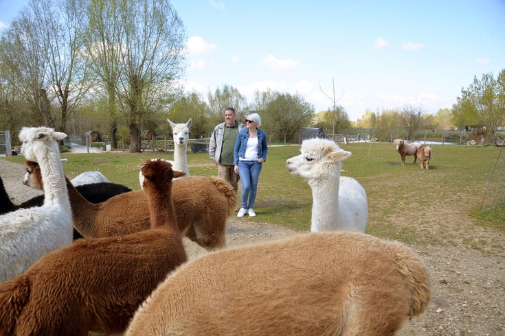 Hébergement AbracadaRoom : Lodge Duo Flottant Les Preuses Spa et sauna privé - Image 11