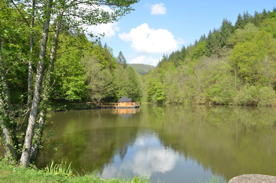 Hébergement AbracadaRoom : Cabane flottante Libellule - Image 1