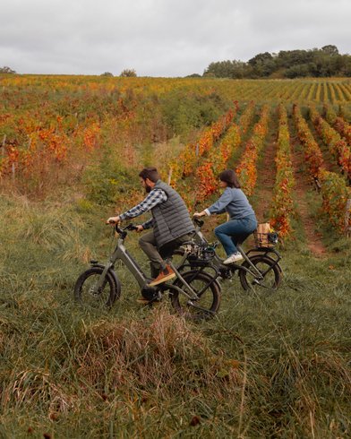 Domaine AbracadaRoom : Les Cabottes - Image 12