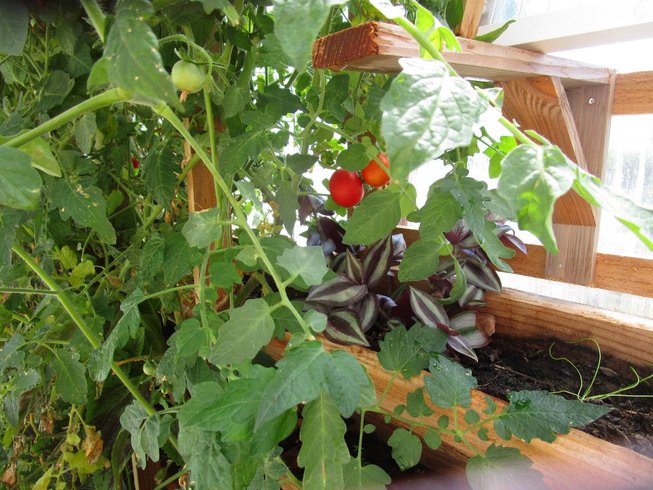 Hébergement AbracadaRoom : Serre des Brasseurs & Spa - Image 12