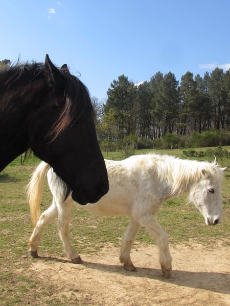 Domaine AbracadaRoom : Les cabanes des collines - Image 4