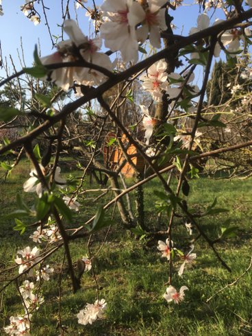 Domaine AbracadaRoom : Nid'Oiselet - Image 17