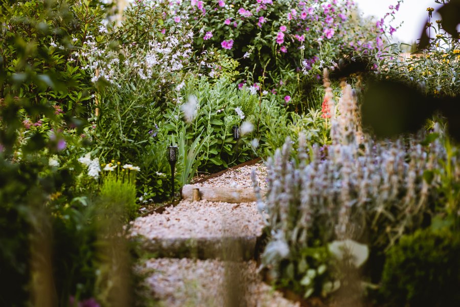 Domaine AbracadaRoom : La Closerie du Biard - Image 18